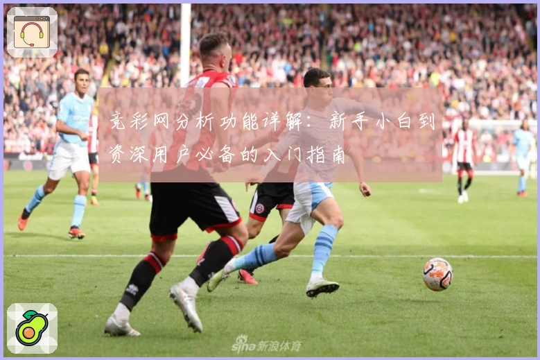 竞彩网分析功能详解：新手小白到资深用户必备的入门指南