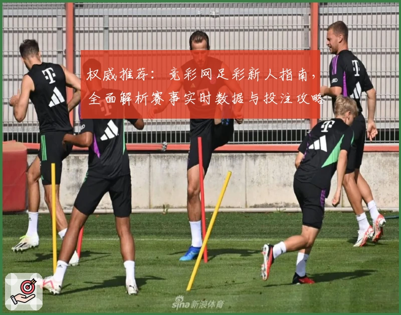 权威推荐：竞彩网足彩新人指南，全面解析赛事实时数据与投注攻略