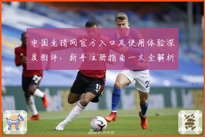 中国竞猜网官方入口及使用体验深度测评，新手注册指南一文全解析